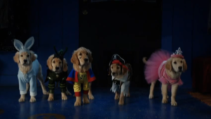 ハロウィンの仮装をしたバディーズ