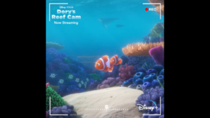 ニモとマーリン